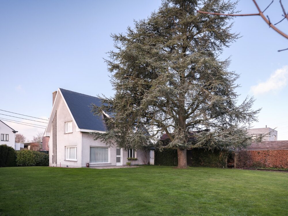 op-te-frissen-woning-op-ruim-perceel-optie-7500m2-grond-08563297_5.jpg