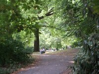 exclusief-hoekappartement-met-zicht-op-het-citadelpark-thumbnail-08680003_13.jpg