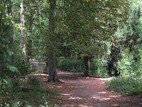 exclusief-hoekappartement-met-zicht-op-het-citadelpark-thumbnail-08680003_16.jpg