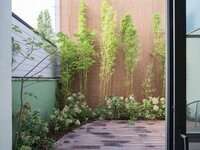 luxueus-gerenoveerde-rijwoning-met-stijlvolle-groene-patio-in-gentbrugge-thumbnail-08719698_4.jpg
