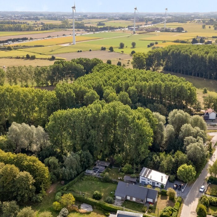 08726567_4.jpg