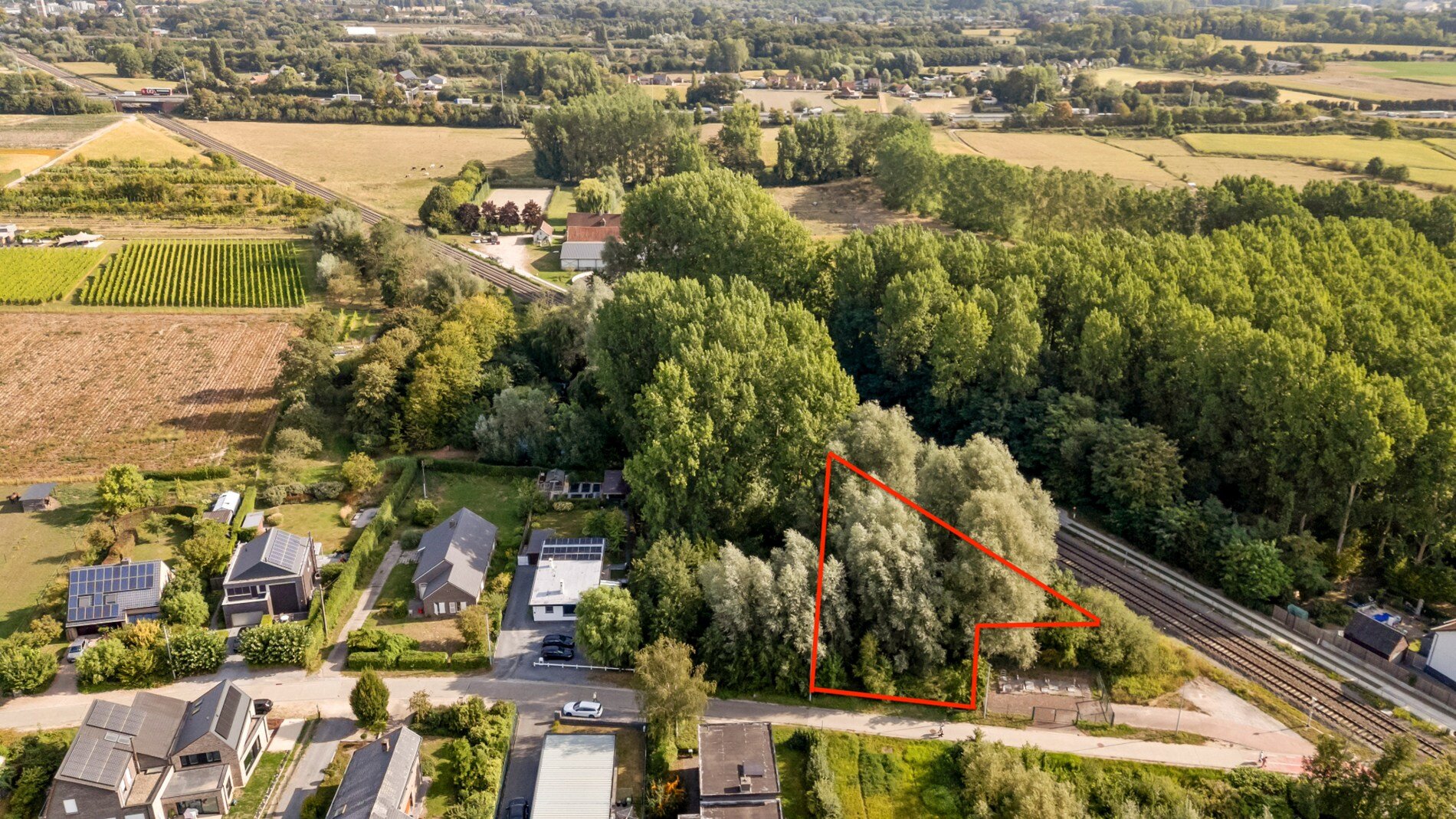 08841556_2.jpg 08841556_2.jpg