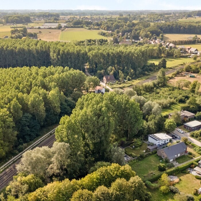 08841556_5.jpg 08841556_5.jpg