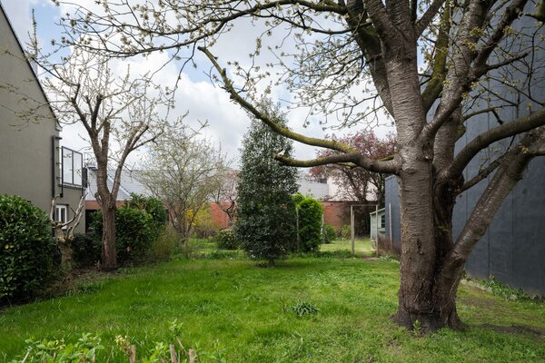 Te koop - Bouwgrond met potentieel in het charmante Wondelgem