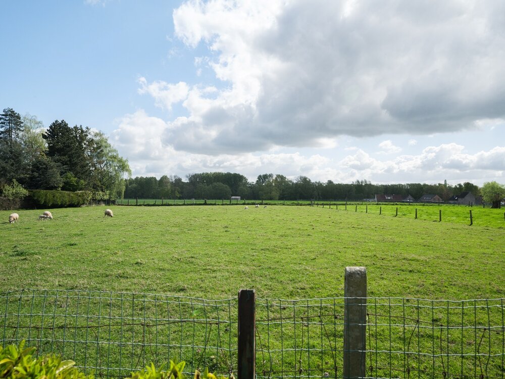 rustig-gelegen-halfopen-woning-met-renovatiepotentieel-08987365_19.jpg