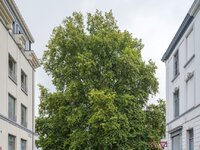 appartement-op-toplocatie-thumbnail-09061379_15.jpg