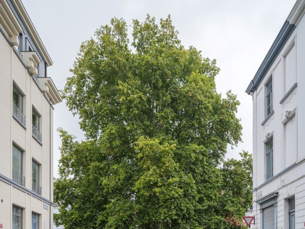 appartement-op-toplocatie-09061379_15.jpg