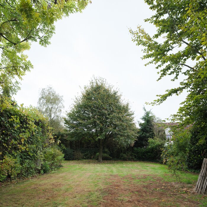 09085770_3.jpg