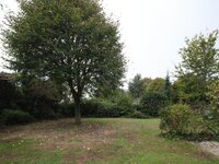 vrijstaande-woning-met-ruime-bijbouw-en-veelzijdige-mogelijkheden-in-drongen-thumbnail-09085770_6.jpg