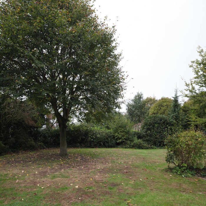09085770_6.jpg