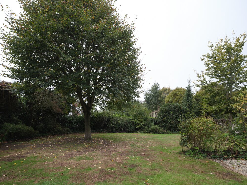 vrijstaande-woning-met-ruime-bijbouw-en-veelzijdige-mogelijkheden-in-drongen-09085770_6.jpg