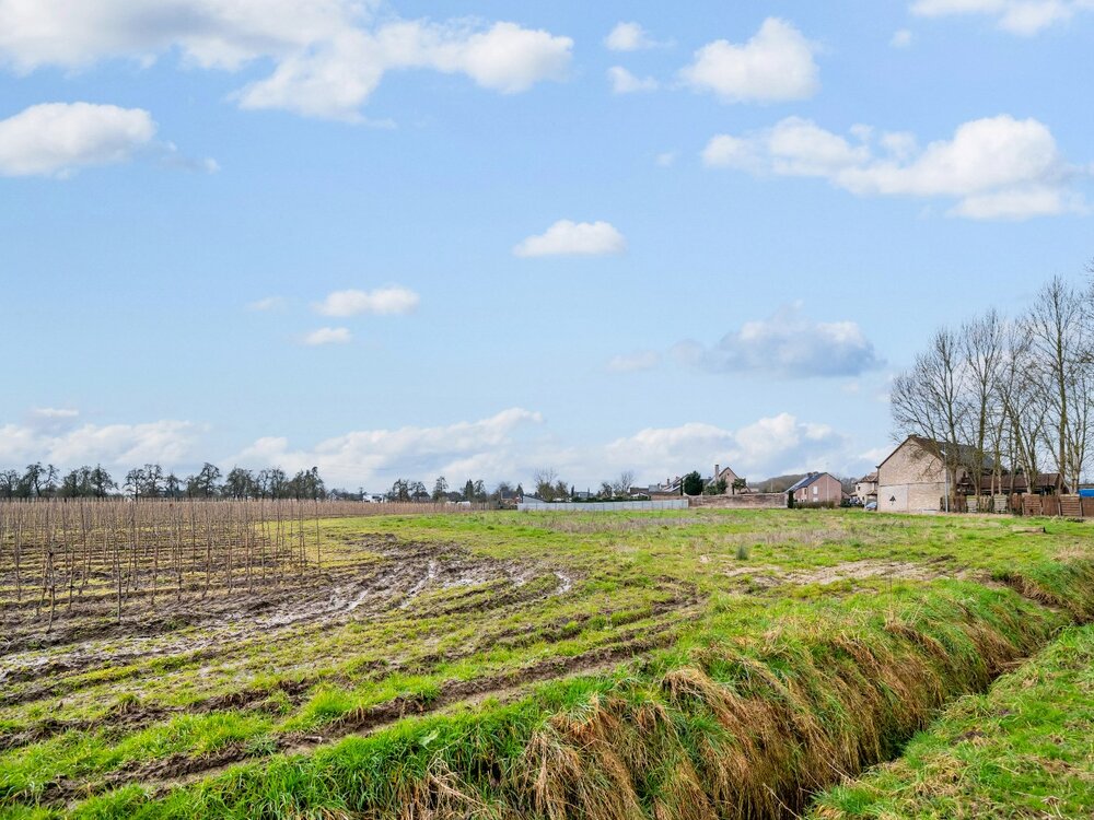 bouwgrond-met-4-loten-te-koop-aan-de-kalverhagestraat-08551255_7.jpg