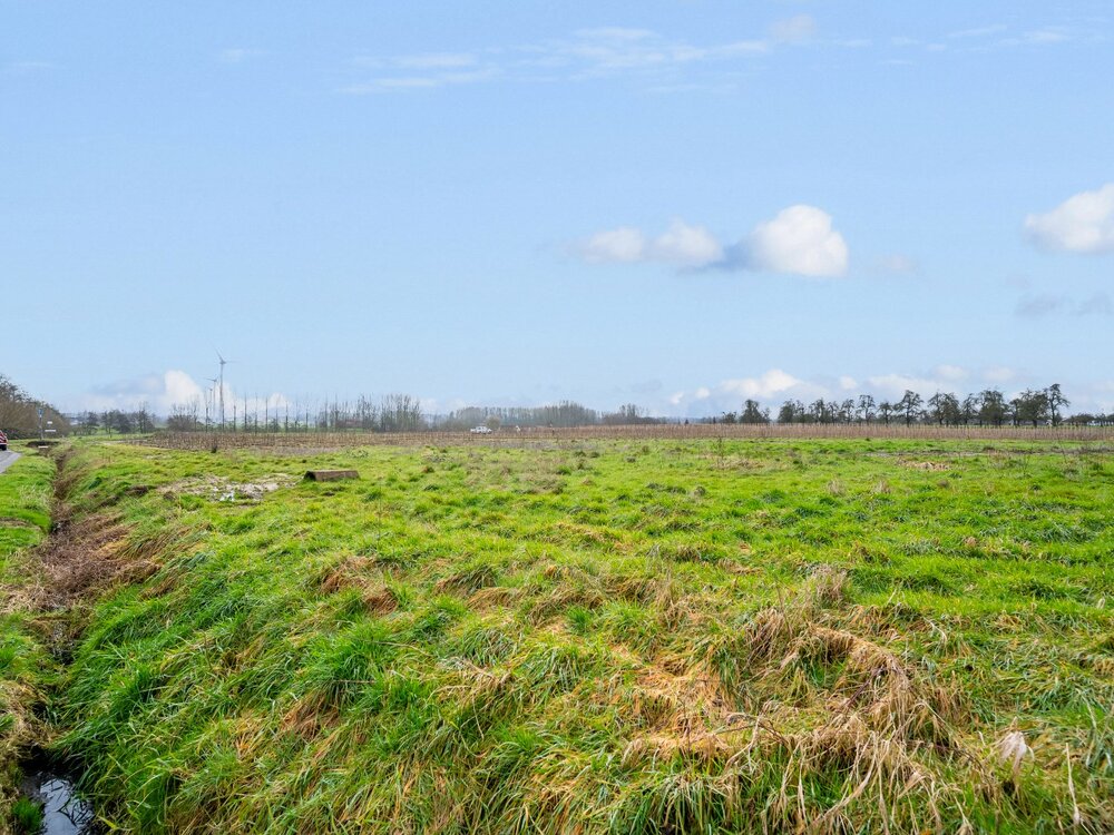 bouwgrond-met-4-loten-te-koop-aan-de-kalverhagestraat-08551255_8.jpg