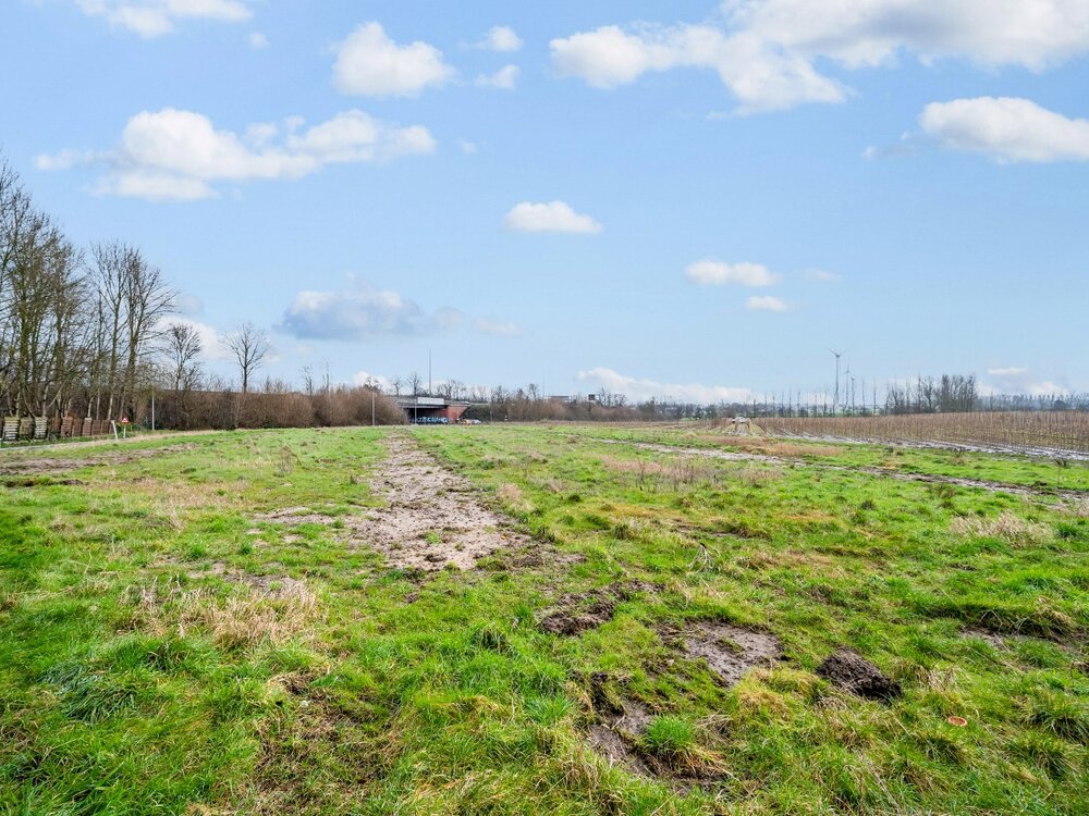 bouwgrond-met-4-loten-te-koop-aan-de-kalverhagestraat-08551255_10.jpg